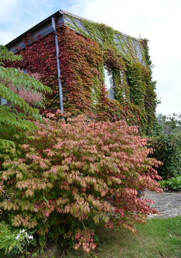 Jardin De Belle Vue Quimperlé Exterior foto